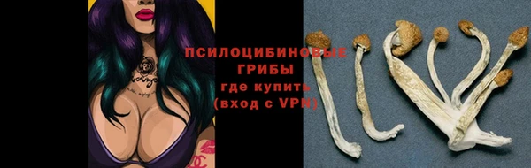 герыч Алексин