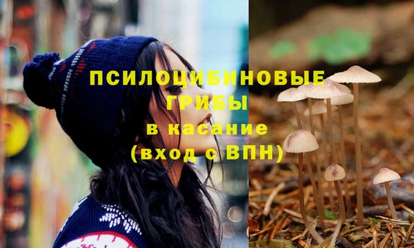 молекула духа Алексеевка