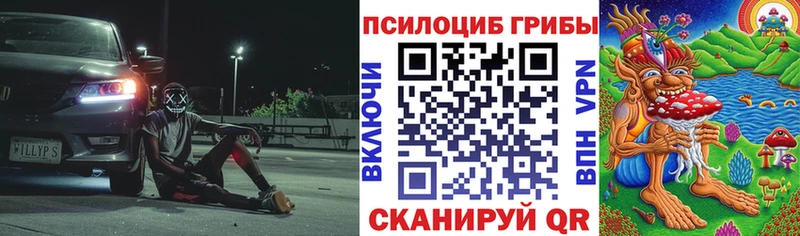 Псилоцибиновые грибы Psilocybe  Прохладный 