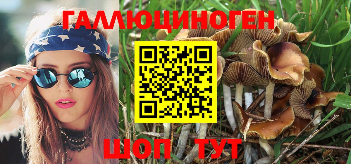 Прохладный  Галлюциногенные грибы Magic Shrooms  где можно купить   Вход с VPN 