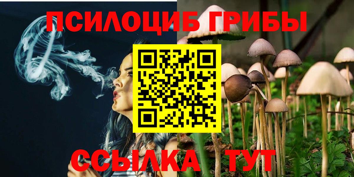 Псилоцибиновые грибы Cubensis Прохладный