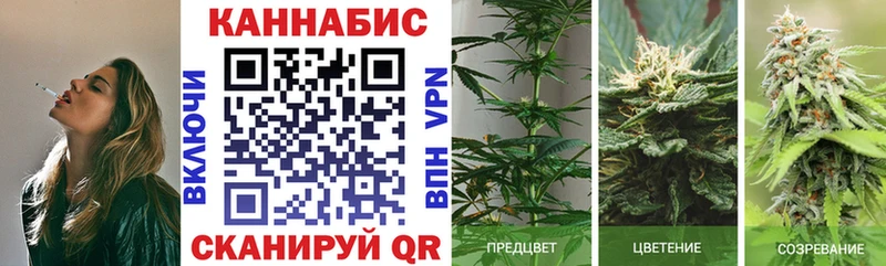 Канабис марихуана Прохладный